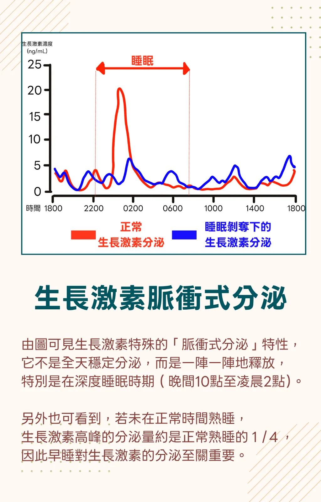 生長激素在夜間深層睡眠時脈衝式分泌的圖表